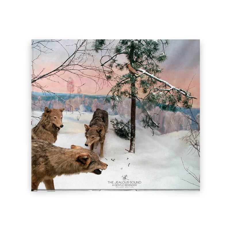 A Gentle Reminder Deluxe Reissue Digipak CD