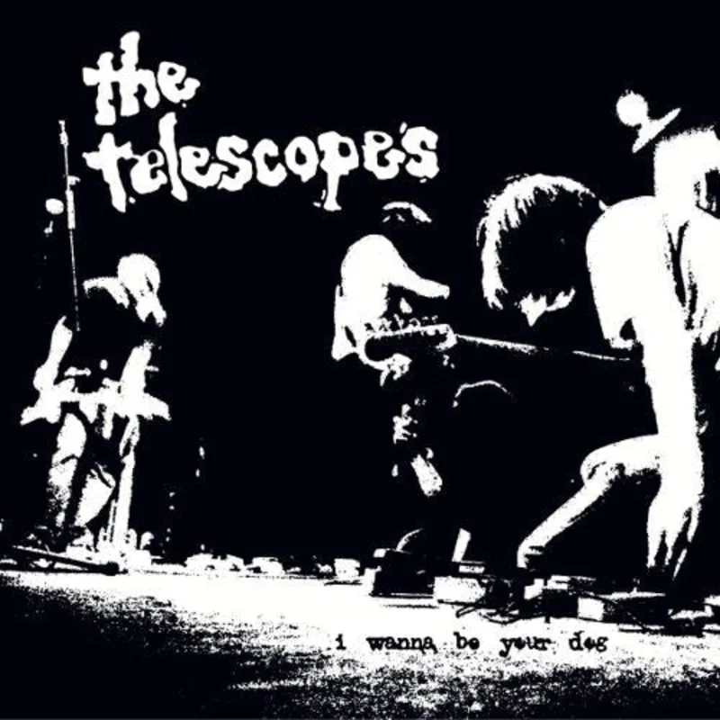 A Place To Bury Strangers / The Telescopes - Down The Stairs / I Wanna Be Your Dog