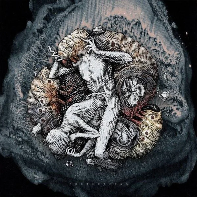 Across The Swarm - Projections