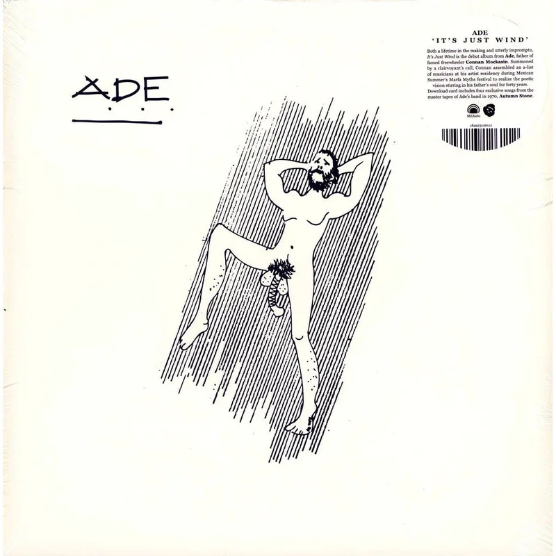 Ade & Connan Mockasin - It's Just Wind