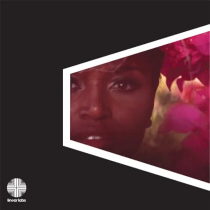 Adrian Younge Presents The Delfonics - Adrian Younge Presents The Delfonics
