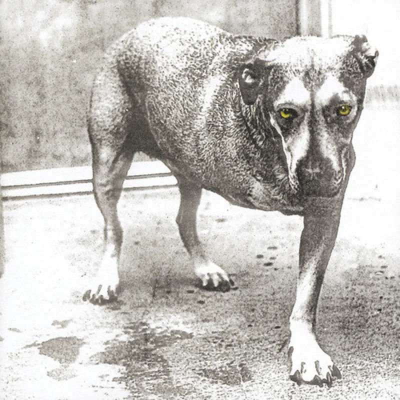 Alice in Chains - CD