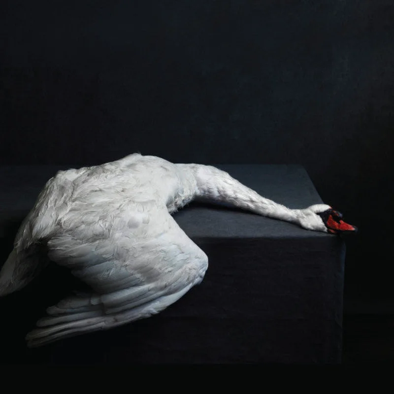 AMENRA 'MASS VI'  2LP (Import)