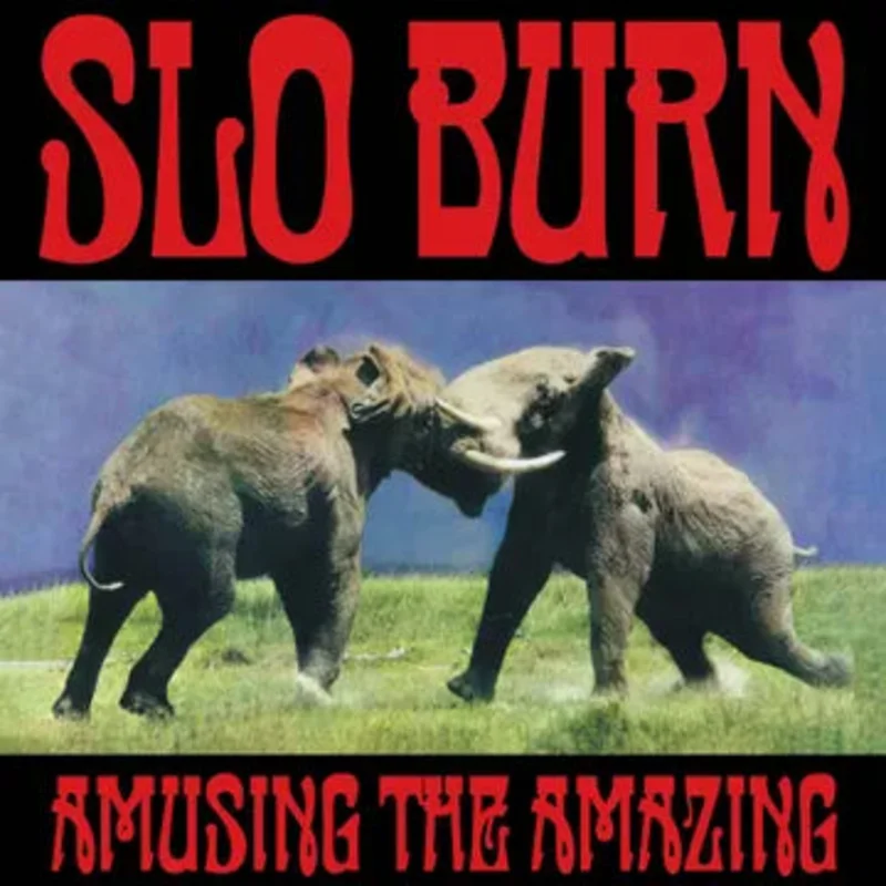 Amusing The Amazing (RSDBF25)
