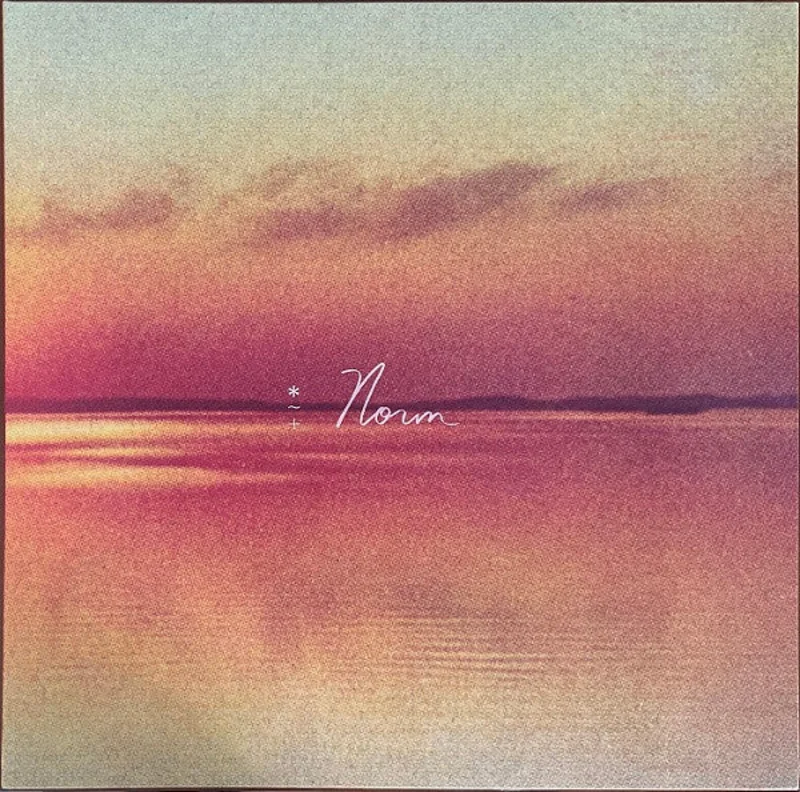 Andy Shauf - Norm (LP, Album) (Mint (M))
