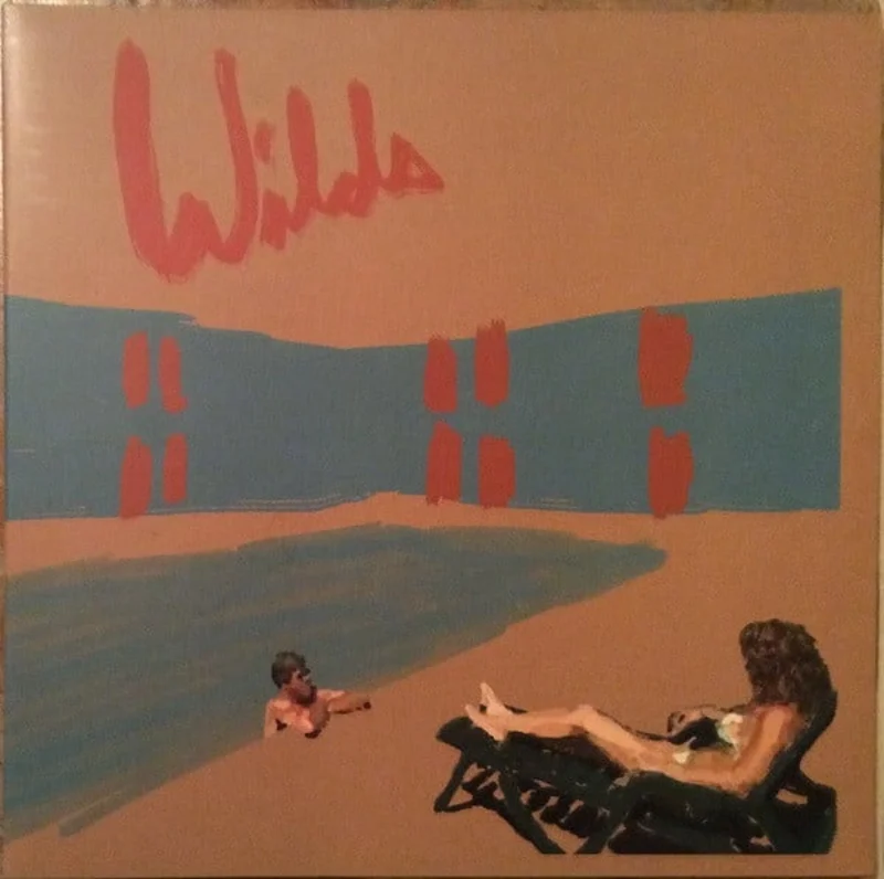 Andy Shauf - Wilds (LP, Album) (Mint (M))