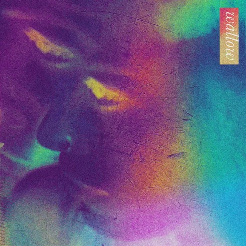 Animal Ghosts - Wallow