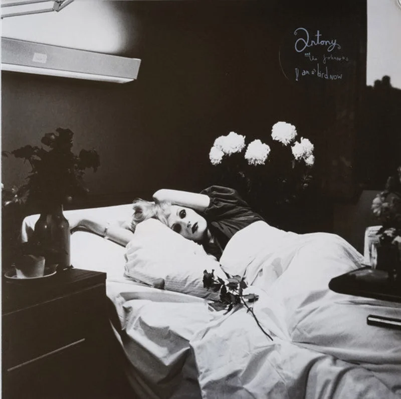 Antony And The Johnsons - I Am A Bird Now (LP, Album, RE) (Mint (M))