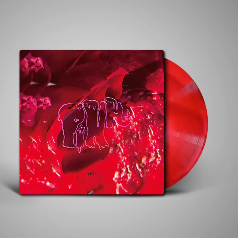 Arcade Fire - Pink Elephant