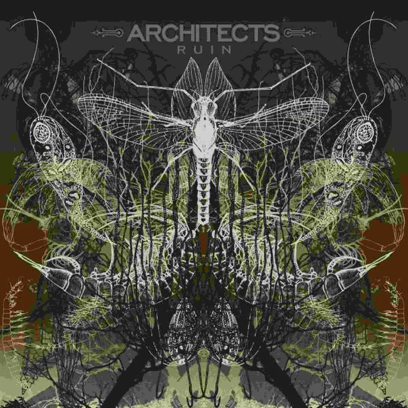 ARCHITECTS RUIN' LP