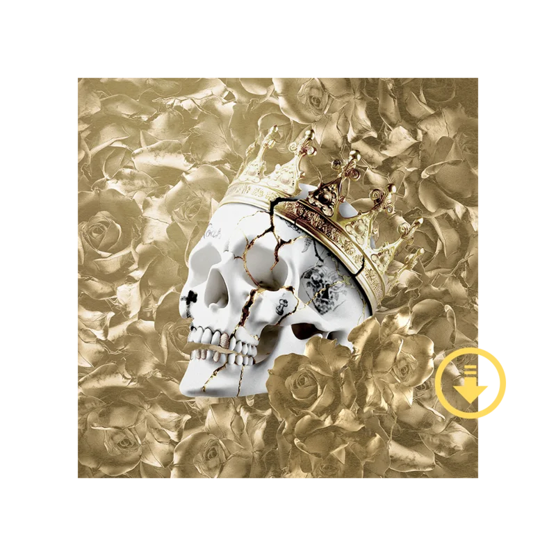 Beautifully Broken Deluxe Digital Album