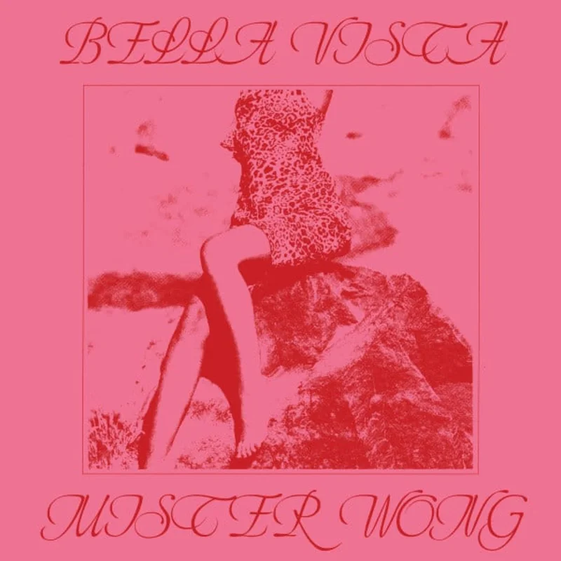 Bella Vista - Mister Wong (12") (Mint (M))