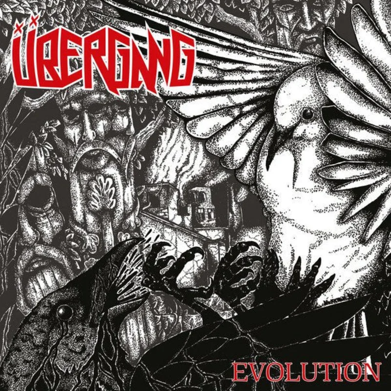 bergang - Evolution