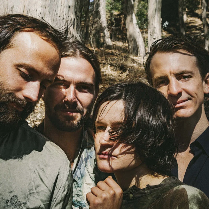 Big Thief - Two Hands (LP, Album, RP) (Mint (M))