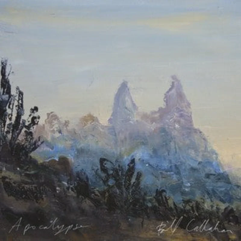 Bill Callahan - Apocalypse (LP, Album) (Mint (M))