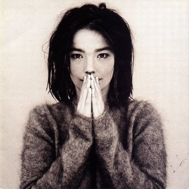 Bjrk - Debut