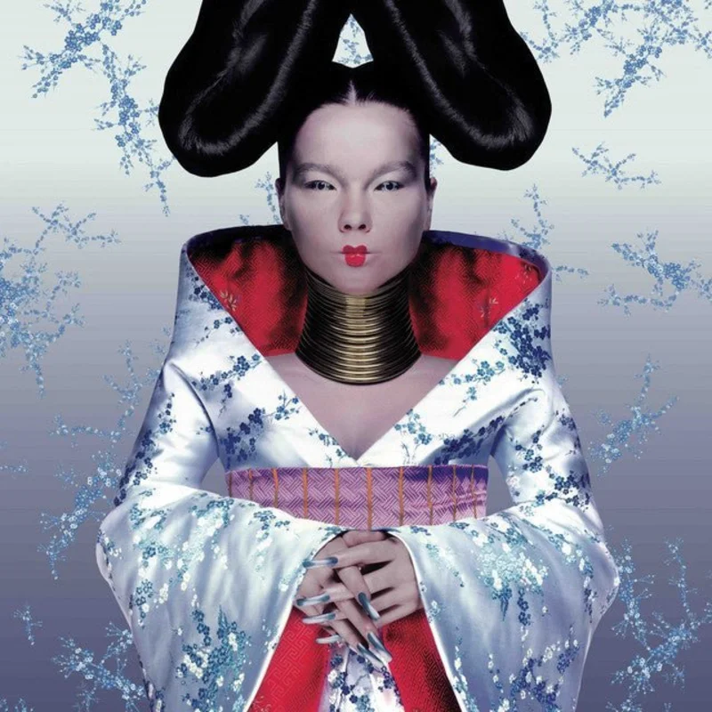 Bjrk - Homogenic