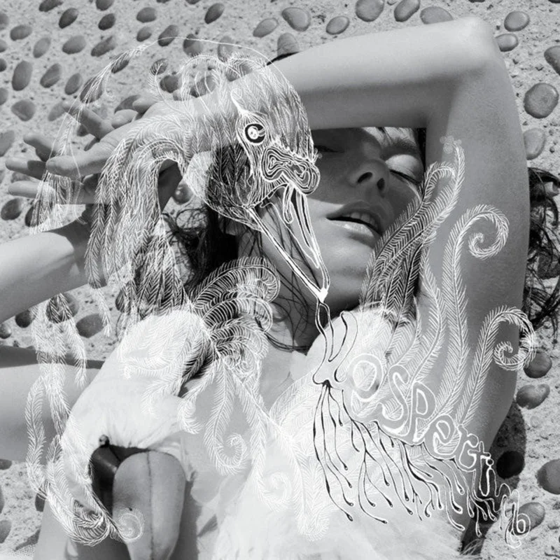 Bjrk - Vespertine