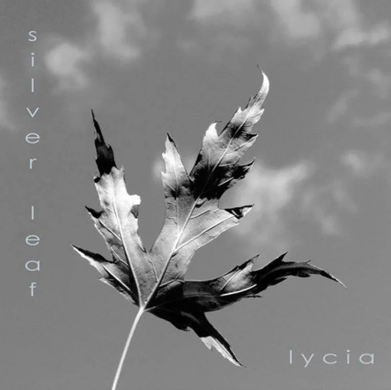 Black Mare / Lycia - Low Crimes / Silver Leaf