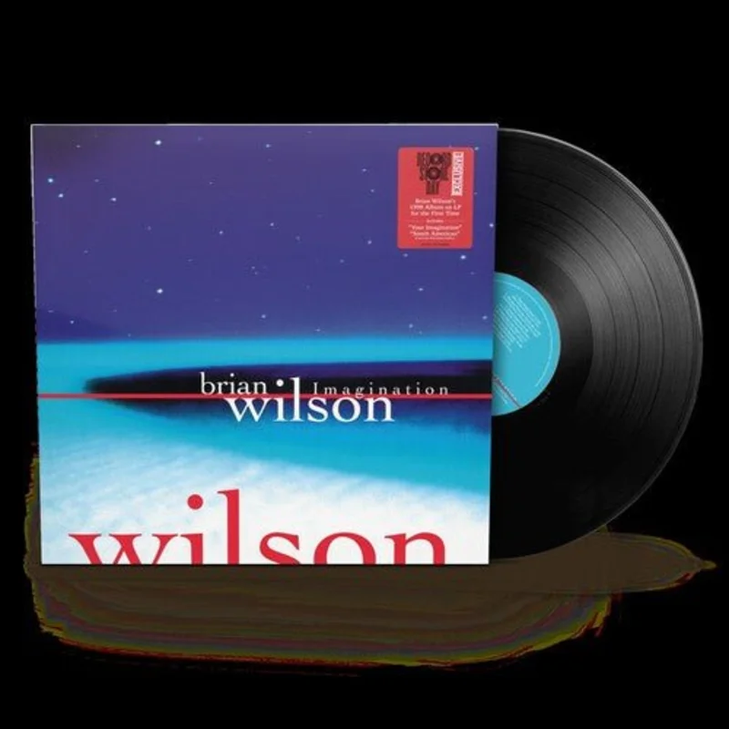 Brian Wilson - Imagination