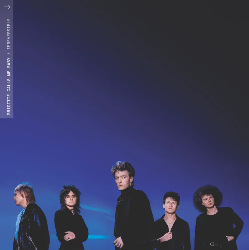 Brigitte Calls Me Baby - Irreversible