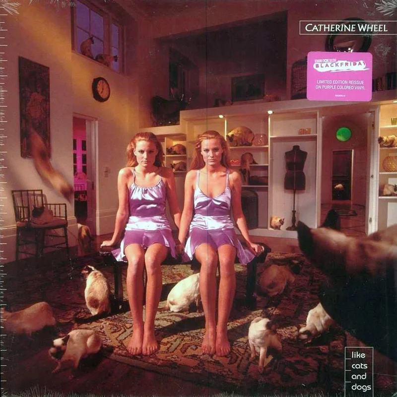 Catherine Wheel - Like Cats And Dogs