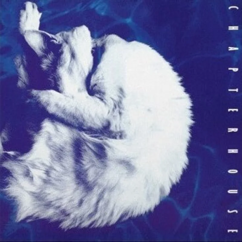 Chapterhouse - Whirlpool