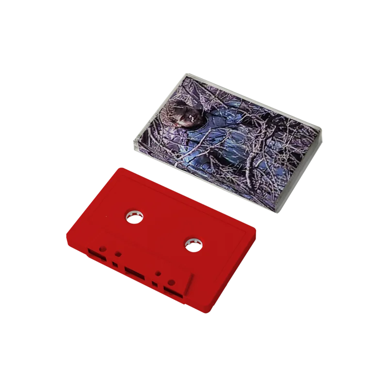 Circles Cassette
