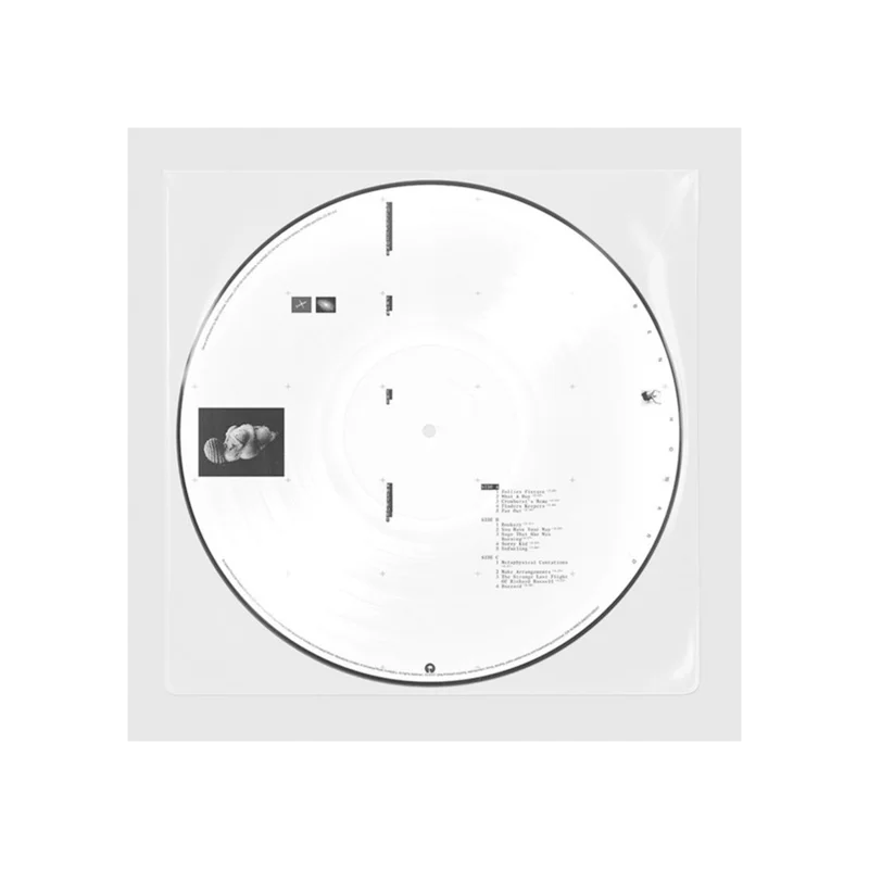 Collections From The Whiteout (D2C Exclusive) Picture Disc 2LP