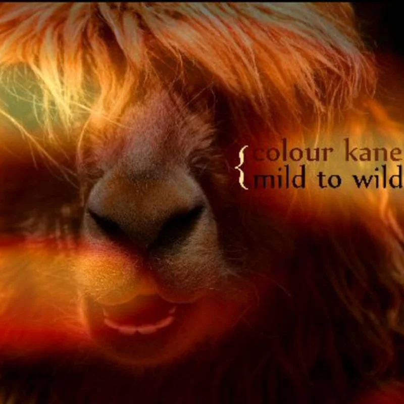 Colour Kane - Mild To Wild