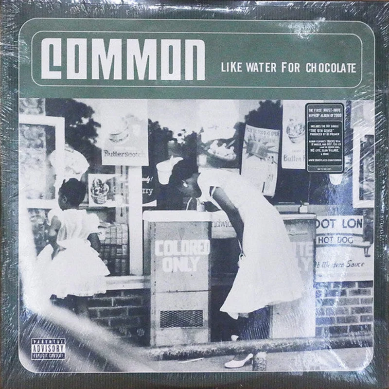 Common - Like Water For Chocolate (2xLP, Album) (Very Good (VG))