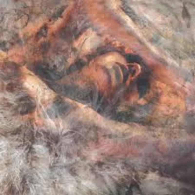 CONVERGE 'UNLOVED AND WEEDED OUT' LP