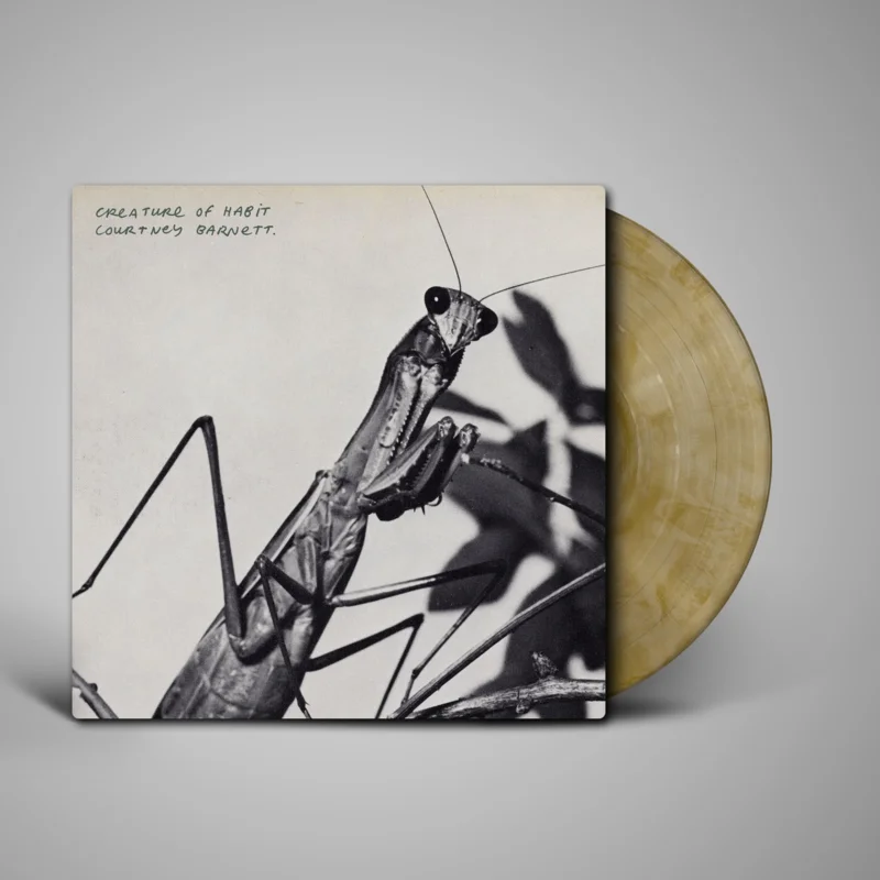 Courtney Barnett - Creature of Habit