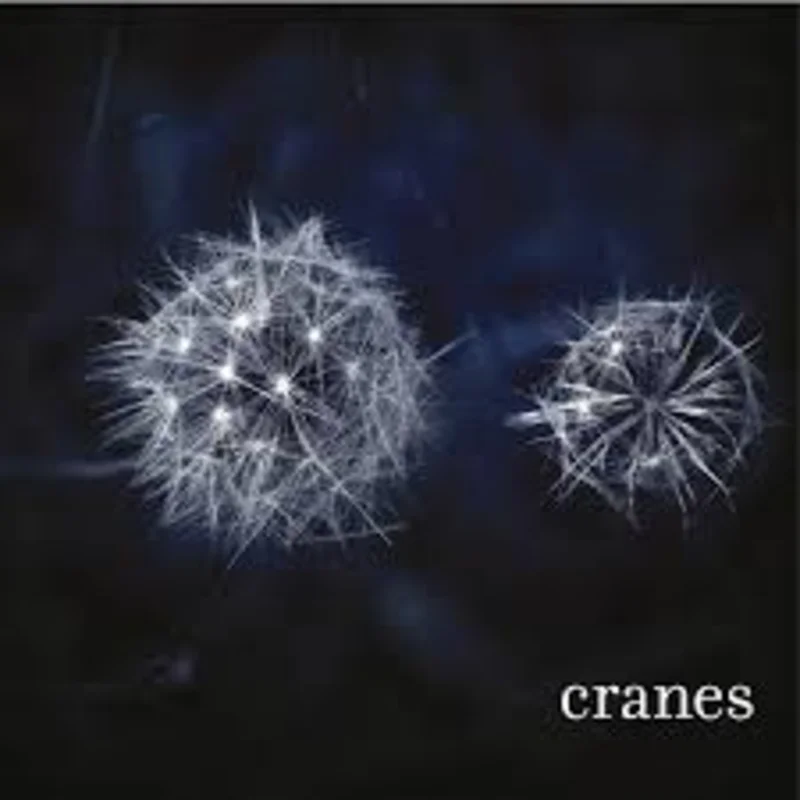 Cranes - Cranes