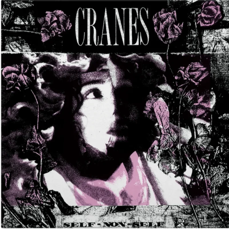 Cranes - Self-Non-Self