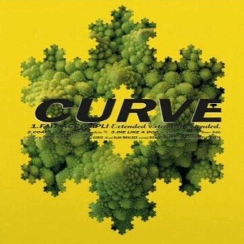 Curve - Fait Accompli