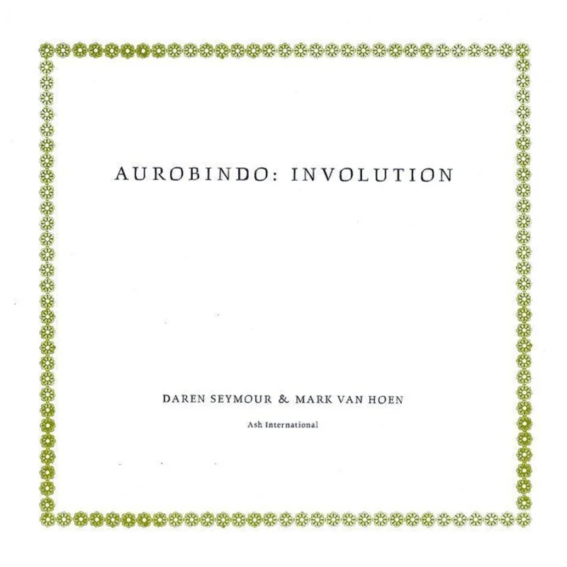 Daren Seymour & Mark Van Hoen - Aurobindo: Involution