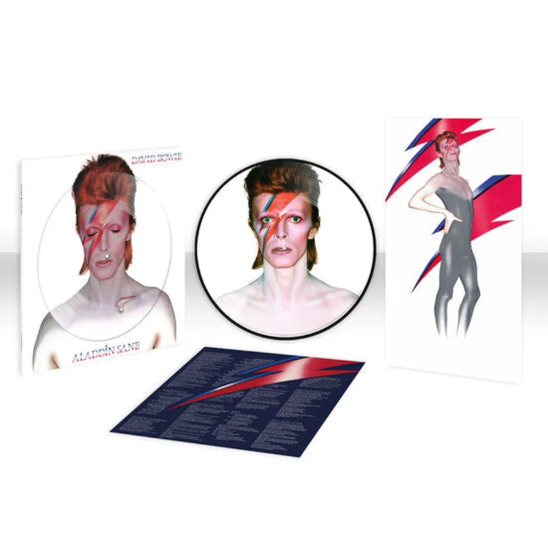 DAVID BOWIE 'ALADDIN SANE' LP (2013 Remaster, Picture Disc Vinyl)