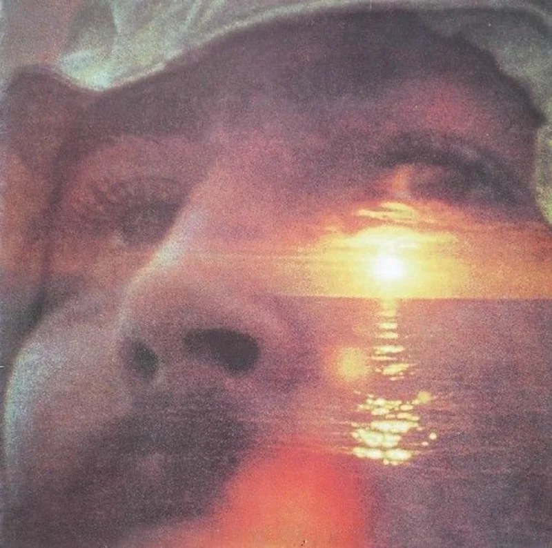 David Crosby - If I Could Only Remember My Name