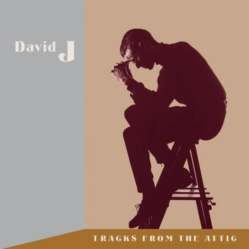 David J - Tracks From The Attic (RSDbf)