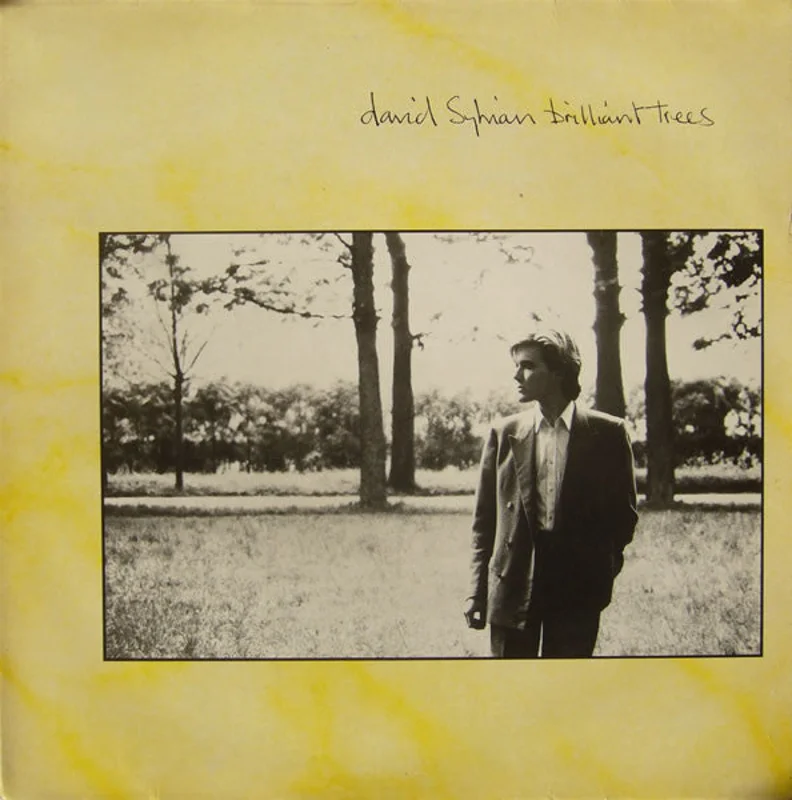 David Sylvian - Brilliant Trees (LP, Album) (Very Good Plus (VG+))