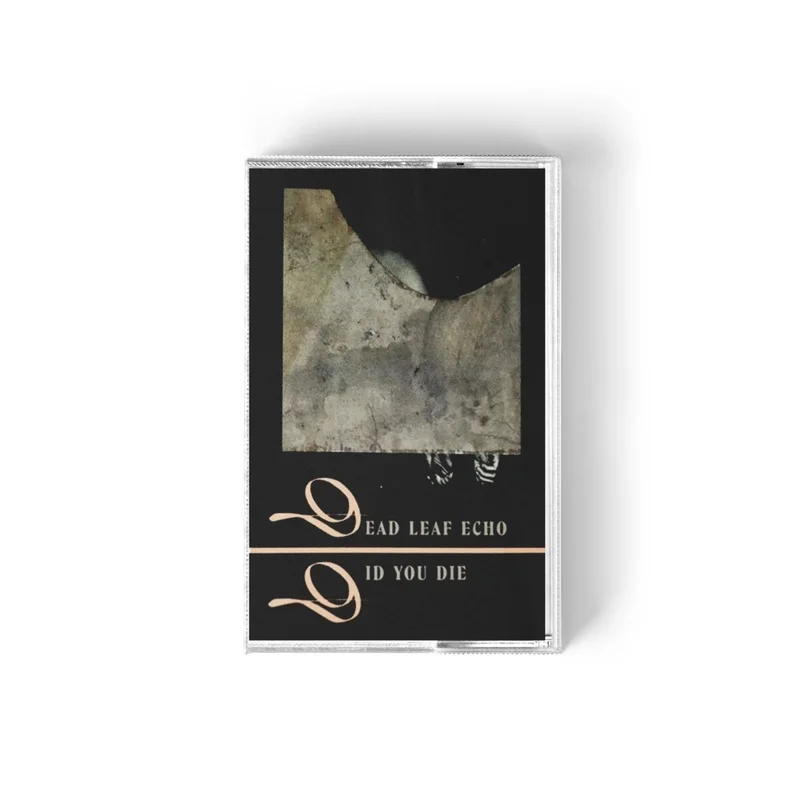 Dead Leaf Echo / Did You Die - Dead Leaf Echo / Did You Die