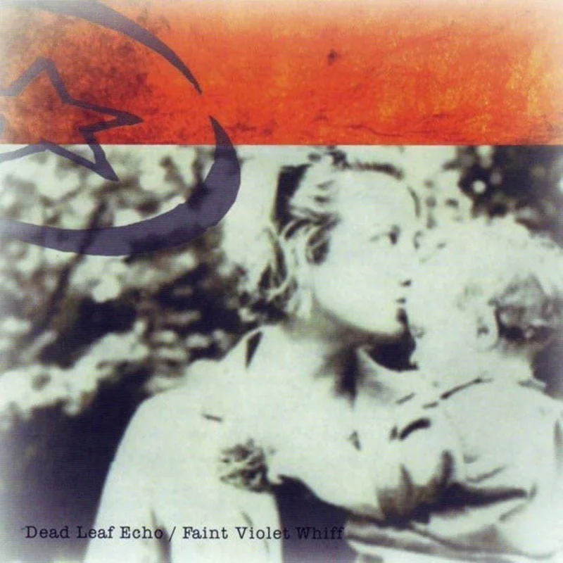Dead Leaf Echo - Faint Violet Whiff
