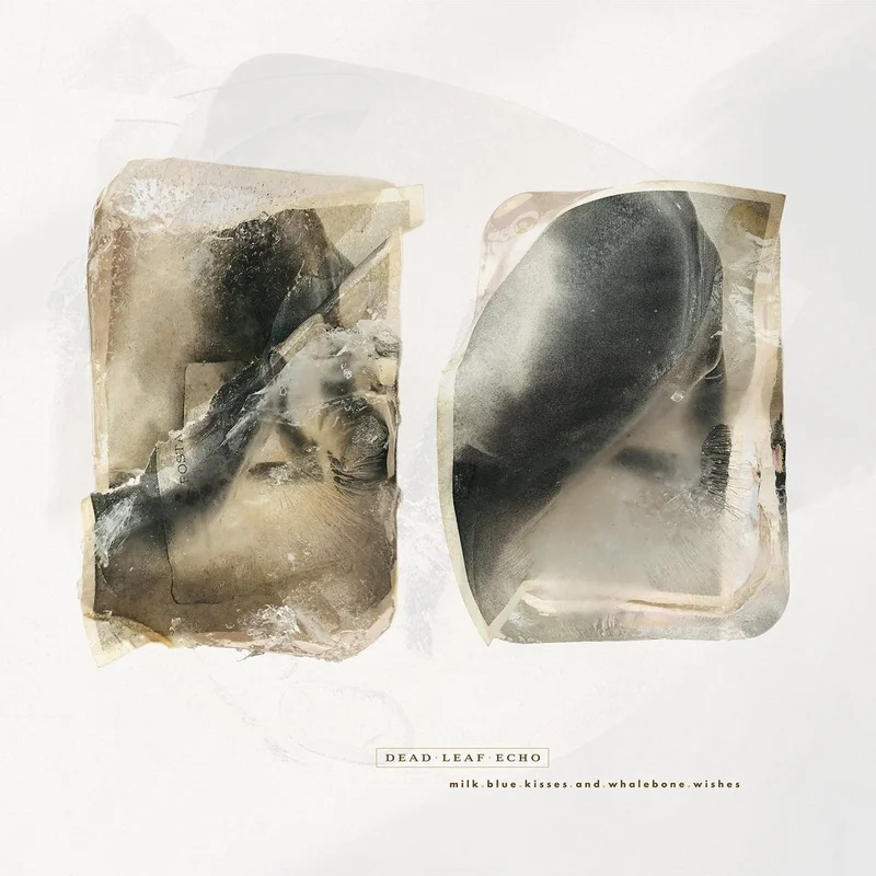 Dead Leaf Echo - Milk.Blue.Kisses.And.Whalebone.Wishes