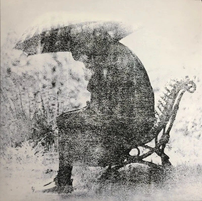 Dead Leaf Echo - Pale Fire