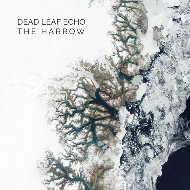 Dead Leaf Echo / The Harrow - Child.Glass.Heart / Dirty Minds