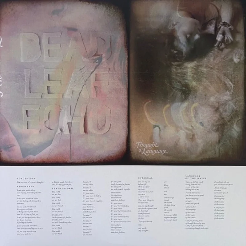 Dead Leaf Echo - Thought & Language