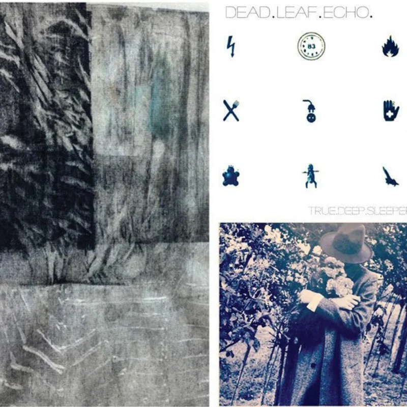 Dead Leaf Echo - True.Deep.Sleeper