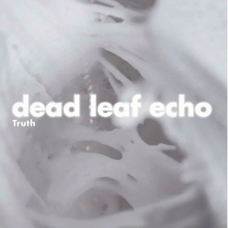 Dead Leaf Echo - Truth