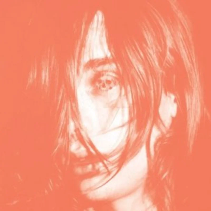 DEERHUNTER 'MICROCASTLE' & 'Weird Era Cont.' 2LP